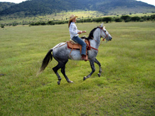 Mexico-Central Mexico-Colores de Mexico Ride